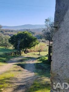 Acheter Terrain 5200 m2 Oliveira-do-hospital