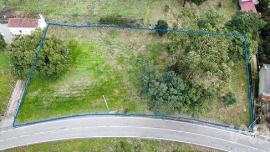 Annonce Vente Terrain Figueiro-dos-vinhos