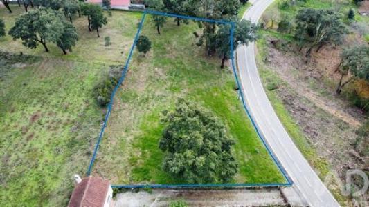 Acheter Terrain 2174 m2 Figueiro-dos-vinhos