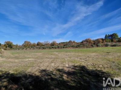 Annonce Vente Maison Belmonte