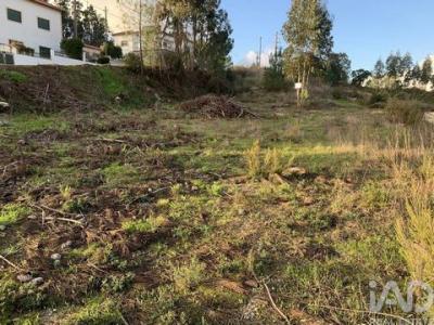 Acheter Terrain 550 m2 Ansiao