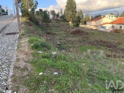 Acheter Terrain Ansiao r�gion LEIRIA