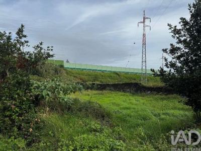 Acheter Terrain Agua-de-pau r�gion ACORES