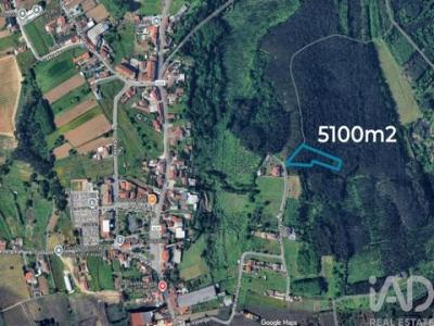 Vente Terrain Anadia SANGALHOS 01 au Portugal