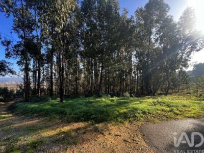 Acheter Terrain 5100 m2 Anadia