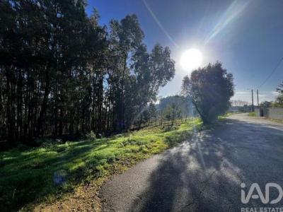 Acheter Terrain Anadia r�gion AVEIRO