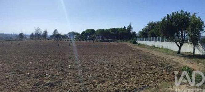 Acheter Maison 240 m2 Seia