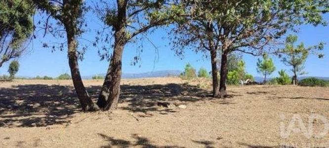 Acheter Maison Seia r�gion GUARDA