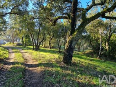 Annonce Vente Terrain Vila-nova-de-poiares