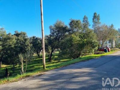 Acheter Terrain Vila-nova-de-poiares r�gion COIMBRA