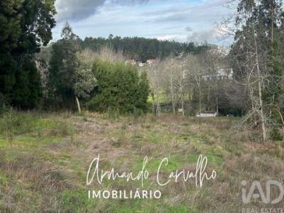 Acheter Terrain Canedo r�gion AVEIRO