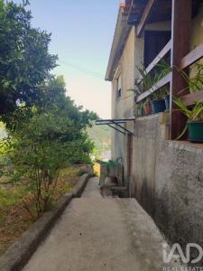 Acheter Maison 64 m2 Penacova