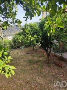 Acheter Maison Penacova r�gion COIMBRA