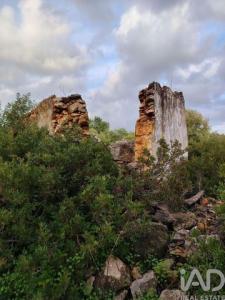 Acheter Terrain 3080 m2 Olhao