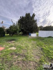 Acheter Terrain 1920 m2 Montijo