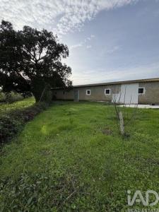 Acheter Terrain Montijo r�gion SETUBAL