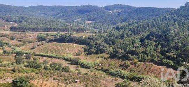Annonce Vente Terrain Mafra