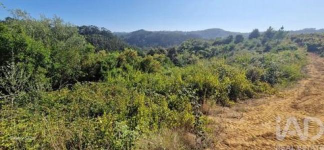 Acheter Terrain Mafra r�gion LISBOA