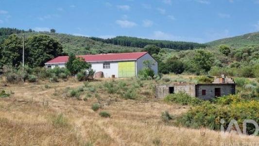 Annonce Vente Terrain Celorico-da-beira