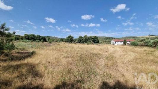 Acheter Terrain 32767 m2 Celorico-da-beira