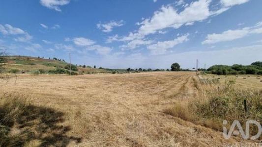 Acheter Terrain Celorico-da-beira r�gion GUARDA