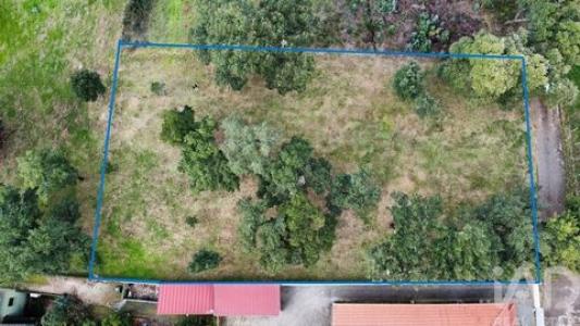 Annonce Vente Terrain Figueiro-dos-vinhos