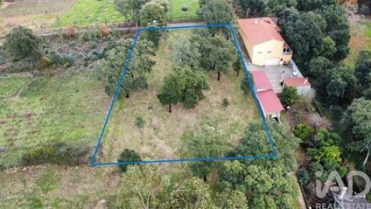 Acheter Terrain Figueiro-dos-vinhos r�gion LEIRIA