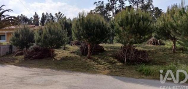 Annonce Vente Terrain Leiria