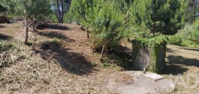 Acheter Terrain Leiria r�gion LEIRIA