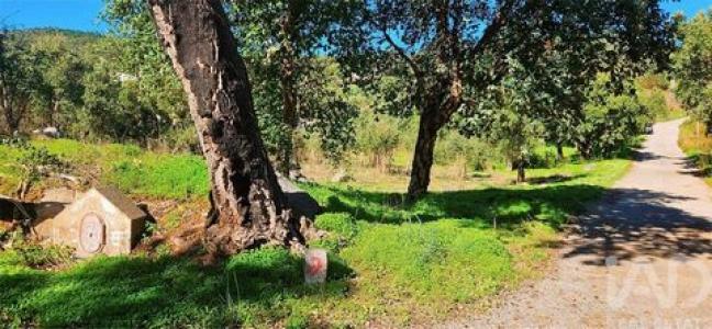 Annonce Vente Terrain Monchique