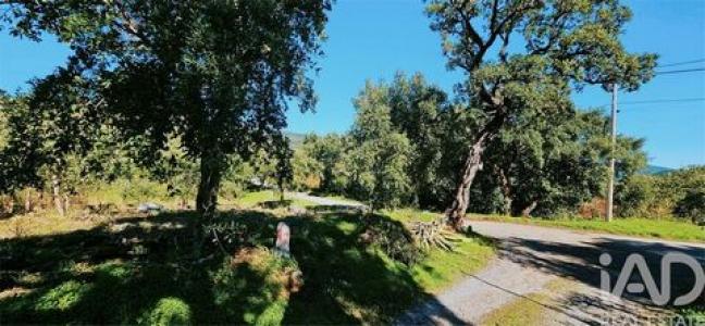 Acheter Terrain 4960 m2 Monchique