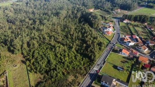 Acheter Terrain Estarreja r�gion AVEIRO