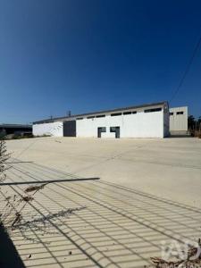 Acheter Local commercial 667 m2 Alem-da-ribeira