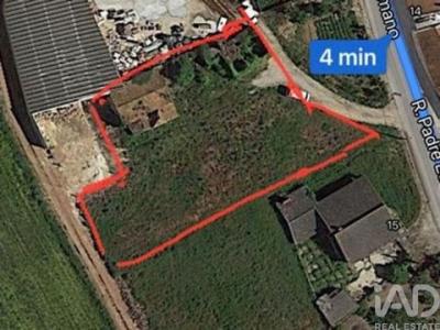 Vente Terrain Bombarral CARVALHAL 10 au Portugal