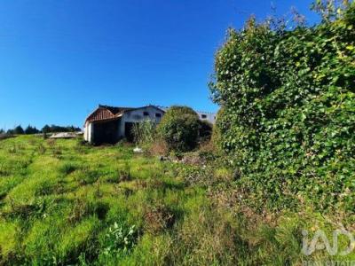 Annonce Vente Terrain Bombarral