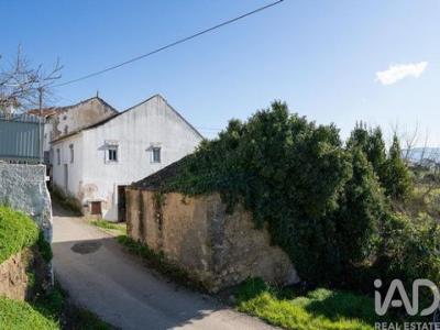 Annonce Vente Terrain Coimbra