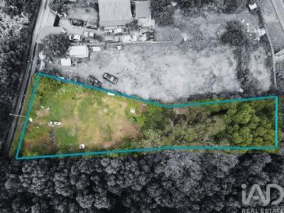 Acheter Terrain 1003 m2 Agua-de-pau