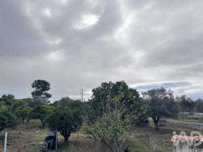 Vente Maison Odemira SA�O-SALVADOR-E-SANTA-MARIA 02 au Portugal