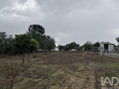 Acheter Maison Odemira r�gion BEJA