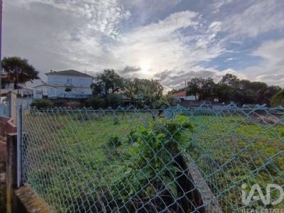 Acheter Terrain 480 m2 Torres-novas