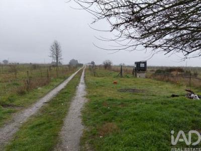 Annonce Vente Terrain Almeirim