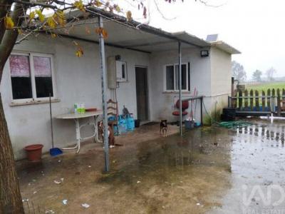 Acheter Terrain 4160 m2 Almeirim