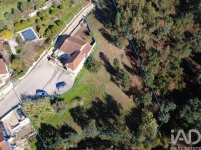 Vente Terrain Vila-nova-de-poiares POIARES-(SANTO-ANDRA�) 06 au Portugal