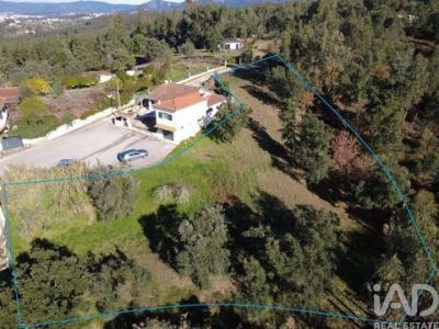 Annonce Vente Terrain Vila-nova-de-poiares