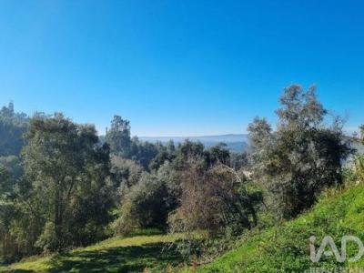 Acheter Terrain Vila-nova-de-poiares r�gion COIMBRA