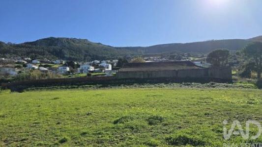 Vente Terrain Cadaval LAMAS-E-CERCAL 11 au Portugal