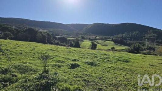 Annonce Vente Terrain Cadaval