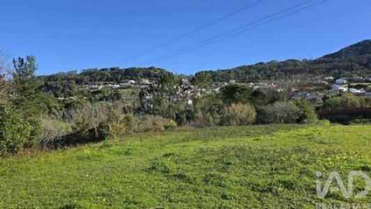 Acheter Terrain Cadaval r�gion LISBOA