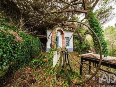 Annonce Vente Terrain Caldas-da-rainha