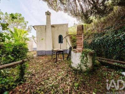 Acheter Terrain 500 m2 Caldas-da-rainha